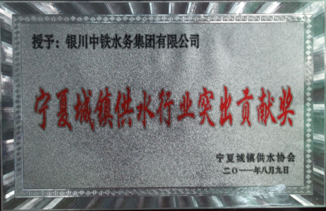 寧夏城鎮(zhèn)供水行業(yè)突出貢獻(xiàn)獎(jiǎng)